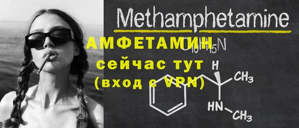 индика Богородск