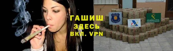 индика Богородск