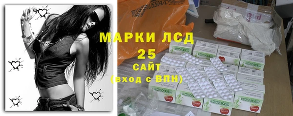 индика Богородск
