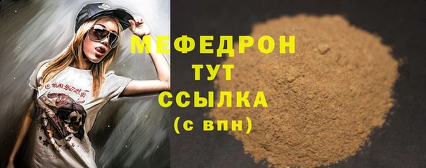 индика Богородск