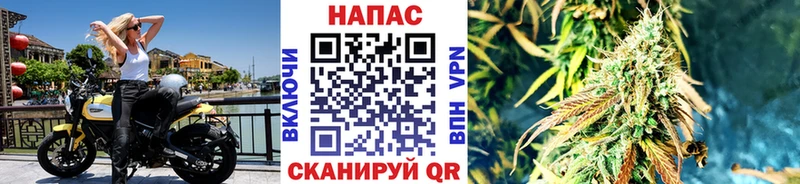 цены наркотик  Красноярск  кракен ссылки  Конопля Bruce Banner 
